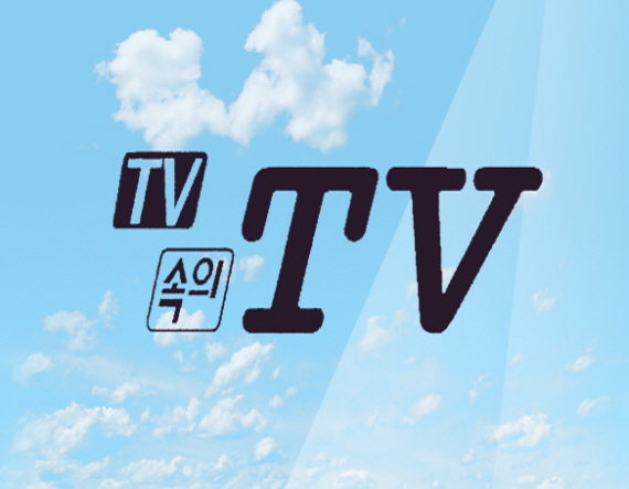 TV 속의 TV