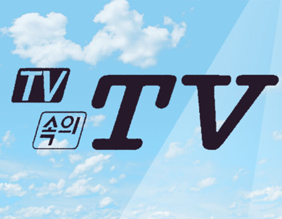 TV 속의 TV